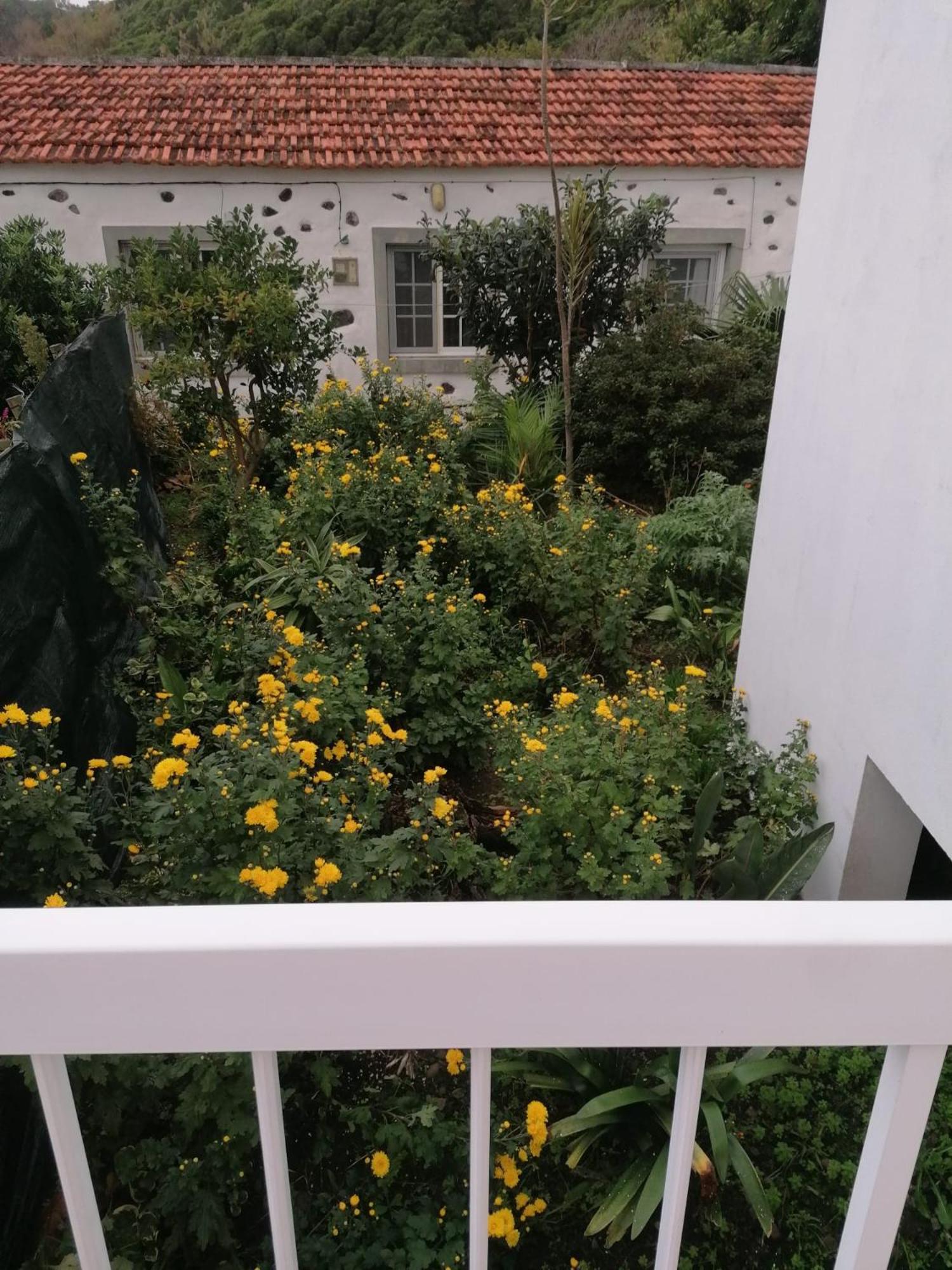 Casa Da Queijaria Villa Faja Grande Eksteriør bilde